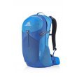 Gregory Citro 24 Men's Backpack