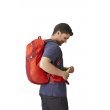 Gregory Citro 24 Men's Backpack