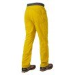 Mountain Equipment Inception Pant